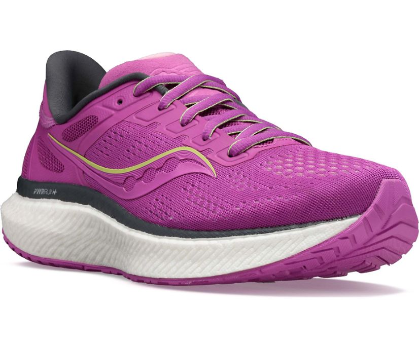 Saucony Hurricane 23 Hardloopschoenen Dames Paars | OAD625194