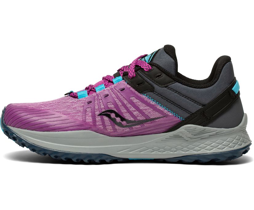 Saucony Mad River Tr 2 Trailrunning Schoenen Dames Paars Grijs | 069-UOEMPT