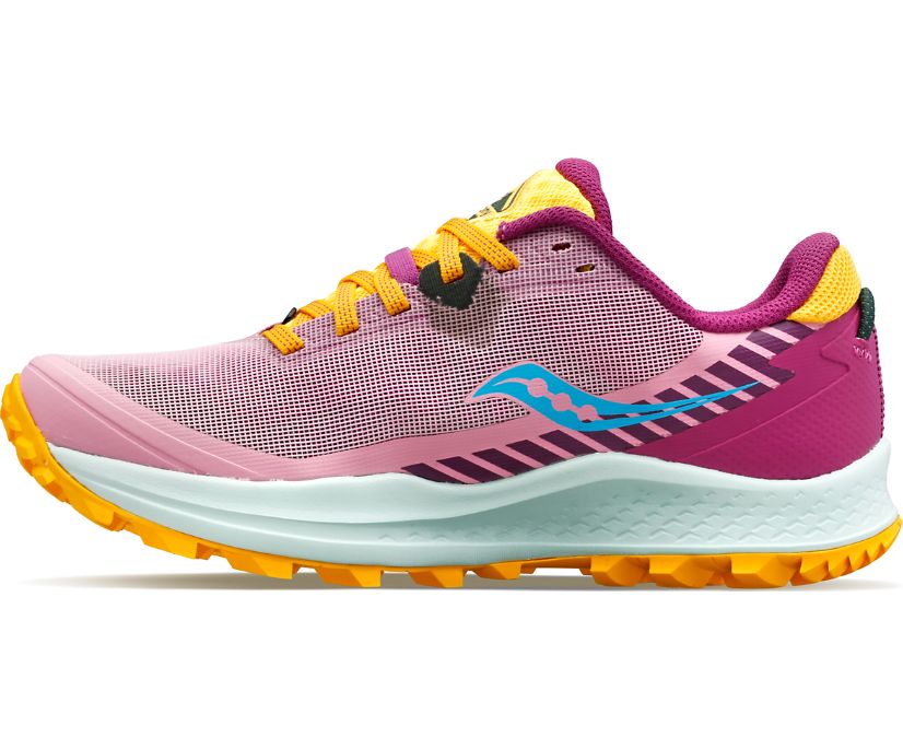 Saucony Peregrine 11 Trailrunning Schoenen Dames Roze | 847-ILXEHR