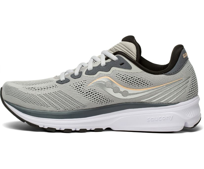 Saucony Ride 14 Hardloopschoenen Dames Grijs | XJE314075