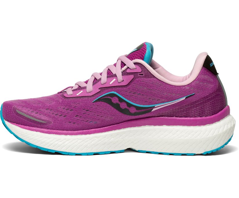 Saucony Triumph 19 Hardloopschoenen Dames Paars | TVO075248